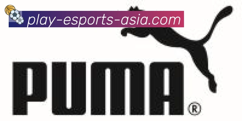 DOTA竞猜合作伙伴